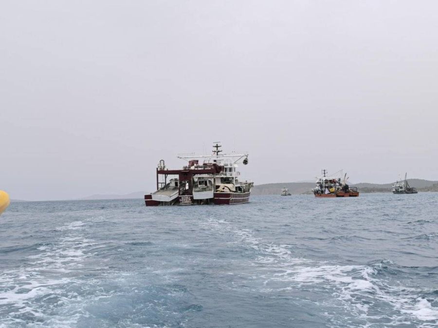 pylos22