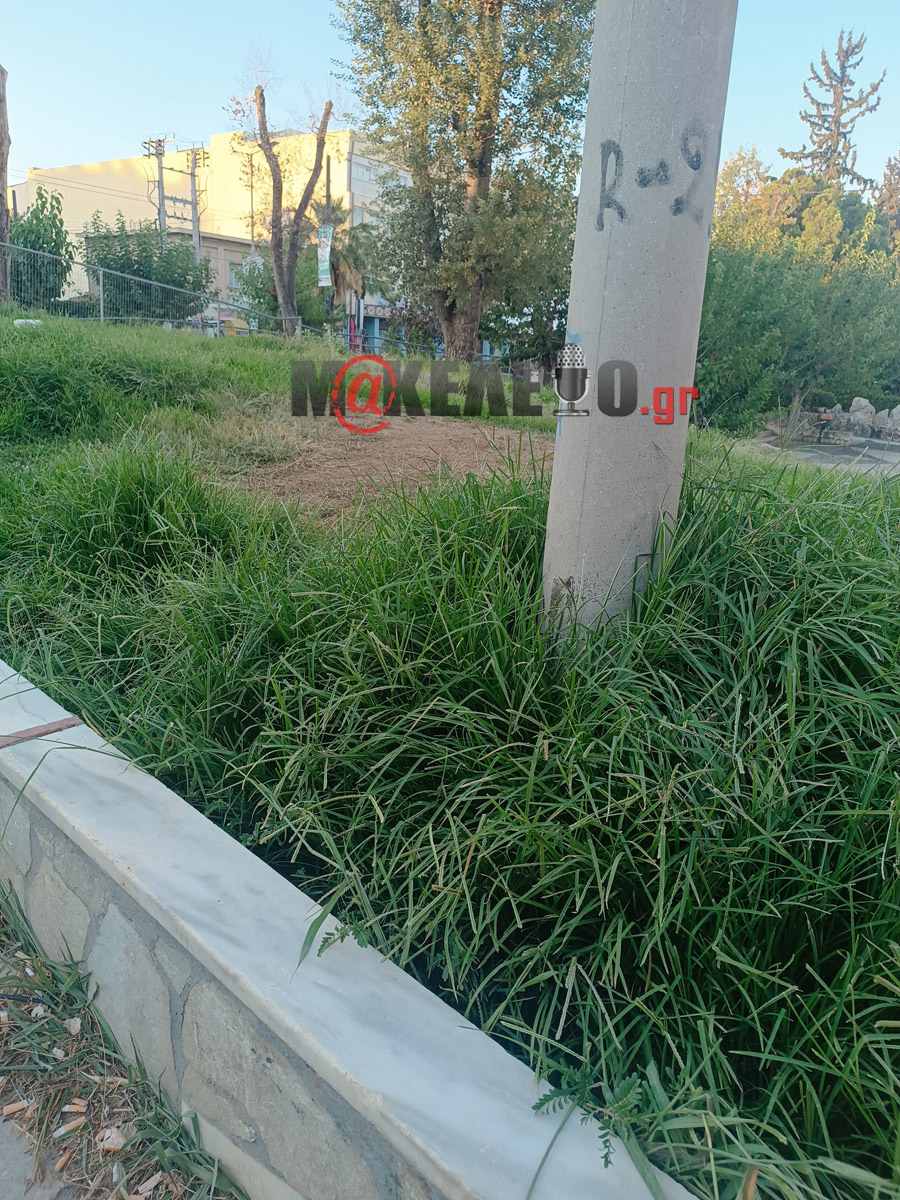 nikaia1