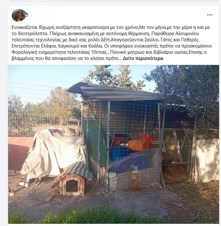 αγγελια