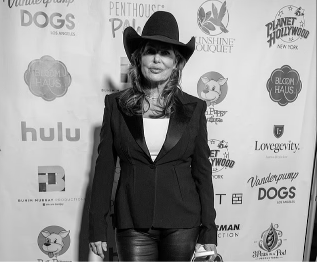 Στιγμιότυπο οθόνης 2025-12-16 135313-modified