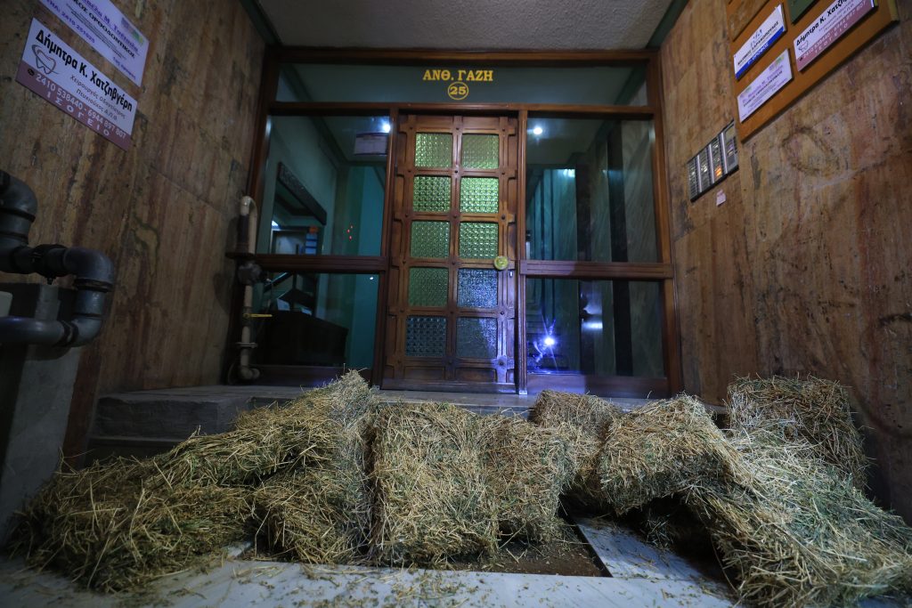 agrotes-nikaia-larisa-sano