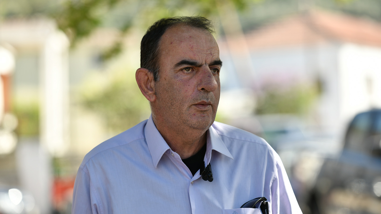 sinantisi_amygdali_17