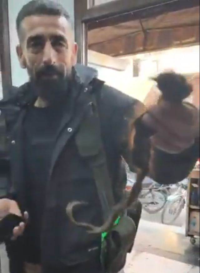 JIHADISTIS-PLEXOUDA5