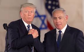 netaniaxoy-tramp-or-h-ka8h