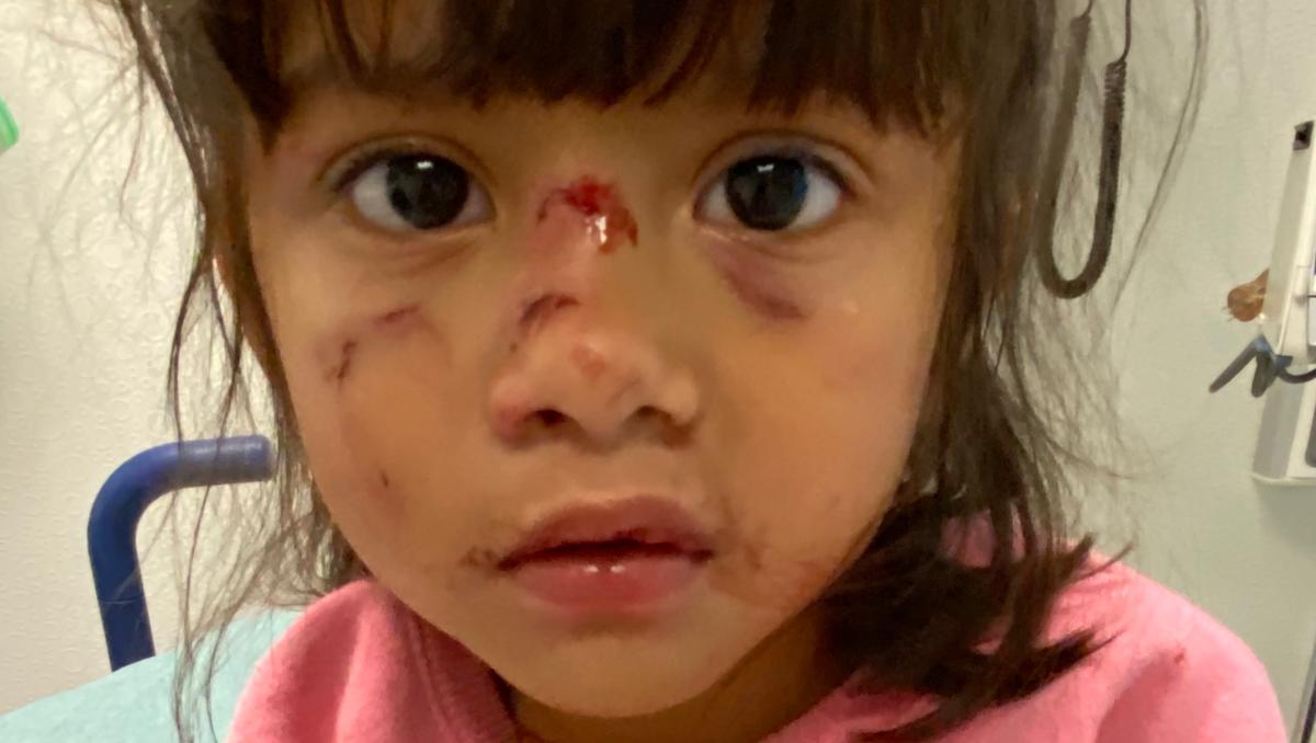 www-gofundme-com-f-support-126236827